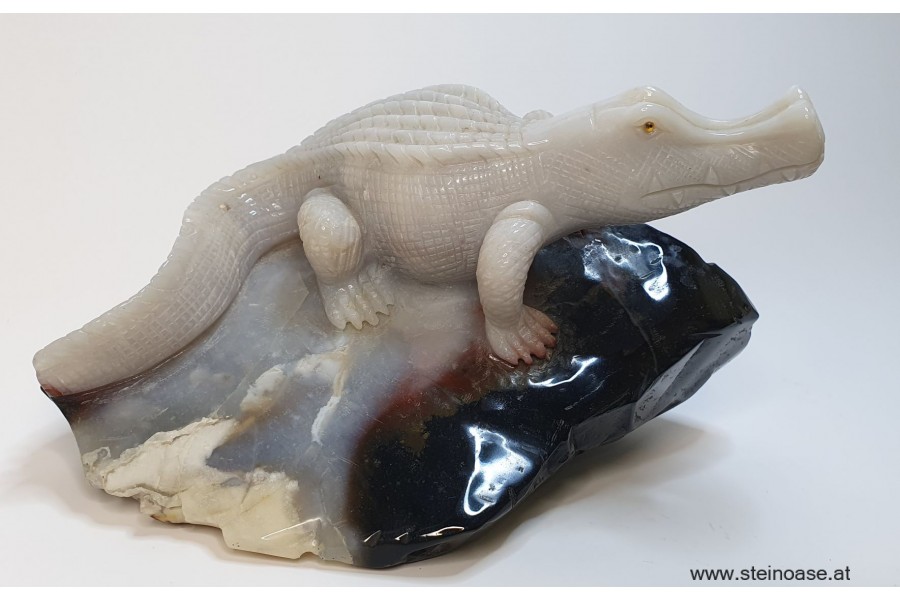 Alligator / Krokodil Chalcedon